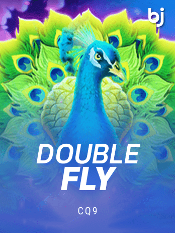 Double Flypng screenshot